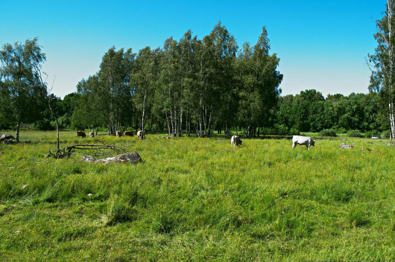 Gaeststugan Skara Exterior photo